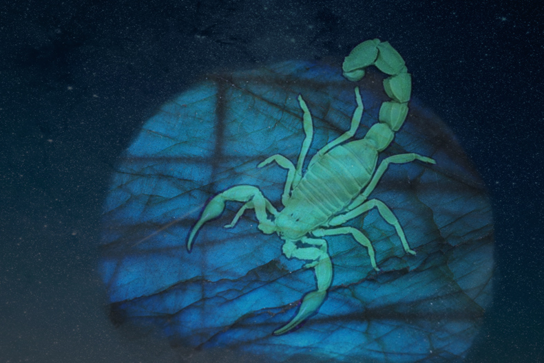 Labradorite is a perfect stone for Scorpios