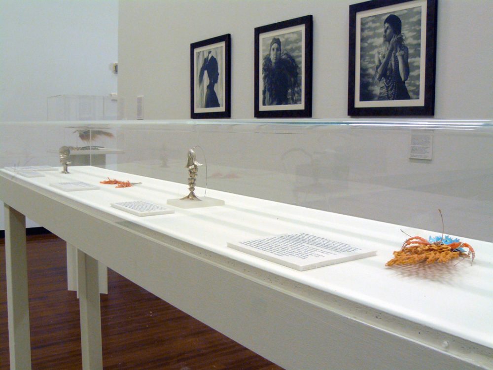 Installation of Exhibition showing insect display